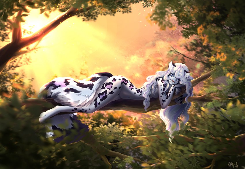 anthro branch dusk female female/female fluffy fluffy_tail forest leopard_spots light plant relaxing solo spots summer sun sunset tail tree twilight laffisa felid feline leopard mammal pantherine snow_leopard hi_res