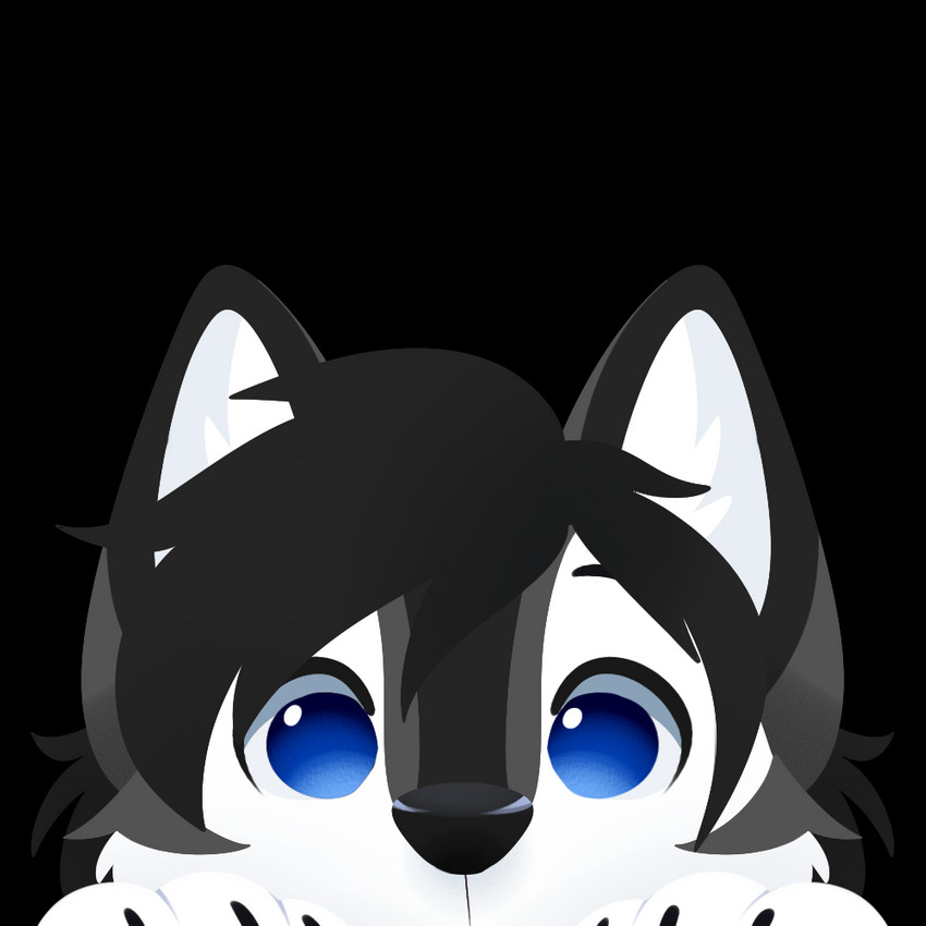 black_body black_fur blue_eyes fur grey_body grey_fur looking_at_viewer male multicolored_body multicolored_fur semi-anthro solo white_body white_fur feve sleek canid canine canis domestic_dog husky mammal nordic_sled_dog spitz 1:1 alpha_channel