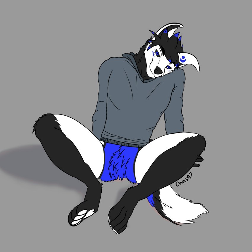 anthro blue_body blue_eyes bottomless clothed clothing floppy_ears fur hair head_tilt head_tuft looking_at_viewer male multicolored_body multicolored_fur pawpads paws relaxing sitting sitting_on_ground solo spread_legs spreading sweater tail topwear tuft chase97 chase97_(character) canid canine mammal 1:1 hi_res