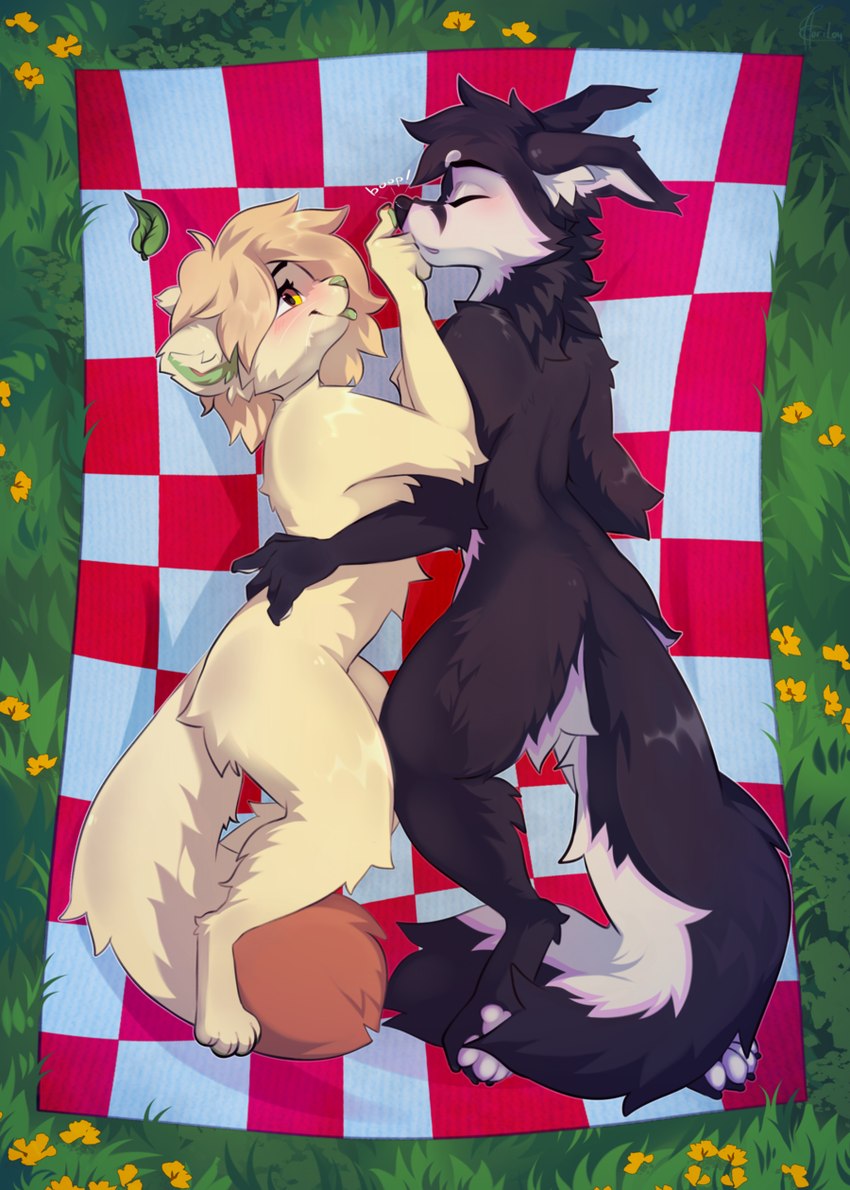 blush boop duo female female/female fur multicolored_body nose_boop picnic_blanket tuft two_tone_body horitoy hority ibzifox canid canine fox mammal vulfen hi_res