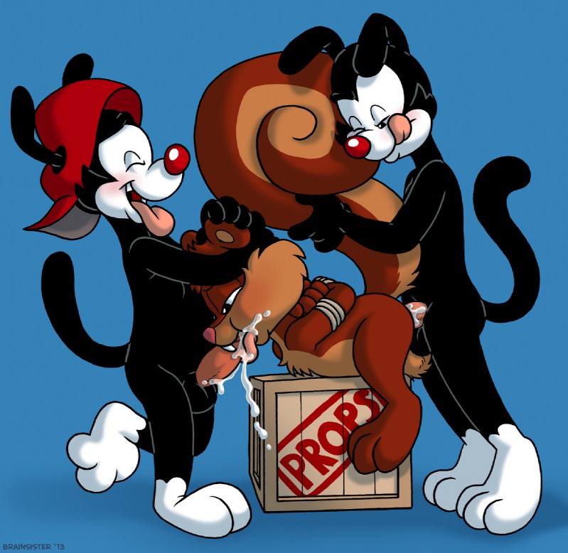 Gauy Porn Animaniacs - Showing Xxx Images for Animaniacs skippy squirrel gay porn ...