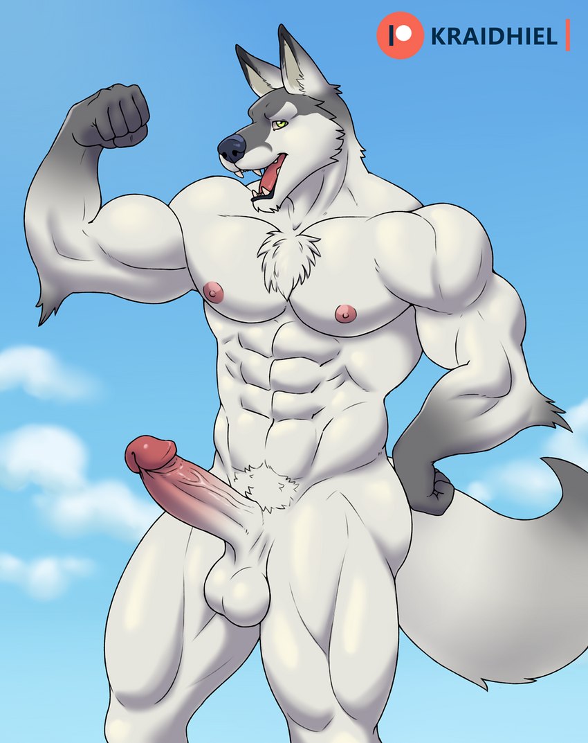 anthro big_muscles flexing genitals humanoid_genitalia humanoid_penis male muscular nude penis solo kraidhiel canid canine fox mammal hi_res