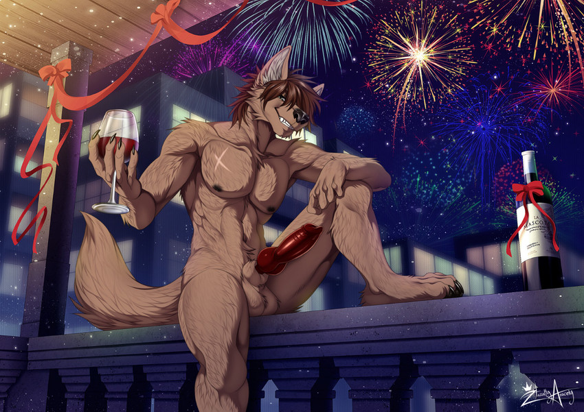 alcohol animal_genitalia animal_penis anthro arm_on_knee athletic athletic_anthro athletic_male balls beverage black_nose brown_hair canine_genitalia canine_penis celebration chest_scar container cup drinking_glass erection fireworks fur genitals glass glass_container glass_cup grey_body grey_fur grin hair holding_beverage holding_object holidays inner_ear_fluff inviting knot looking_at_viewer male navel night nude on_rail pecs penis red_penis scar sitting smile solo teeth tuft wine wine_bottle wine_glass hazakyaracely new_year nils_rinkan canid canine canis mammal wolf 2020 digital_media_(artwork)