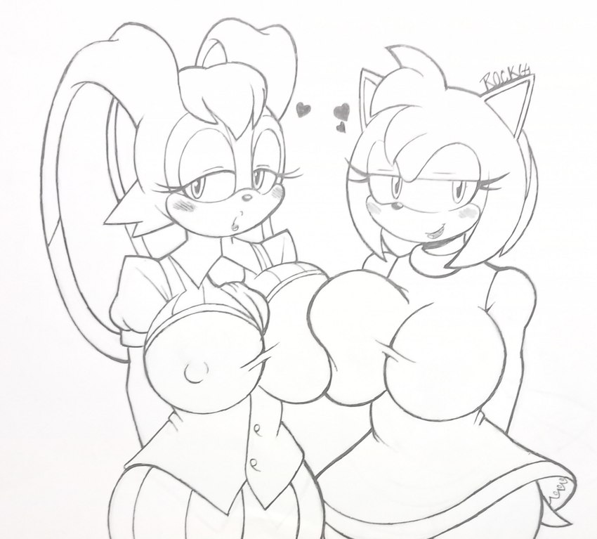 anthro big_breasts blush breasts duo female nipple_outline cyrockstar cyrosso sega sonic_the_hedgehog_(series) amy_rose vanilla_the_rabbit eulipotyphlan hedgehog lagomorph leporid mammal rabbit hi_res