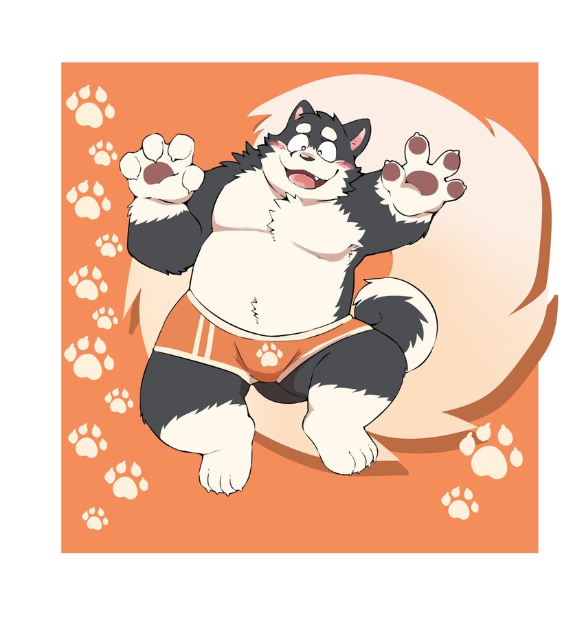 4_fingers 4_toes anthro belly blush bulge clothing feet fingers humanoid_hands kemono male moobs overweight overweight_male solo toes underwear ginnosuke canid canine canis domestic_dog mammal 2023 hi_res