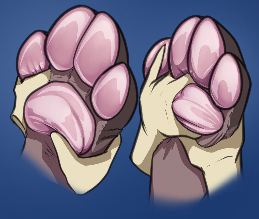 ambiguous_gender anthro duo feet foot_focus foot_rub foot_shot hindpaw massage pawpads paws plantigrade akudrache hyena lagomorph leporid mammal rabbit