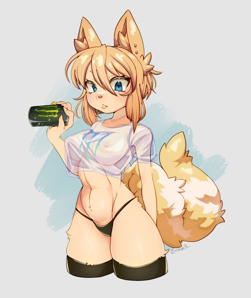 anthro breasts clothing female fur legwear nipples panties shirt solo thigh_highs topwear translucent translucent_clothing translucent_shirt translucent_topwear underwear yellow_body yellow_fur existenc3 monster_energy canid canine mammal hi_res