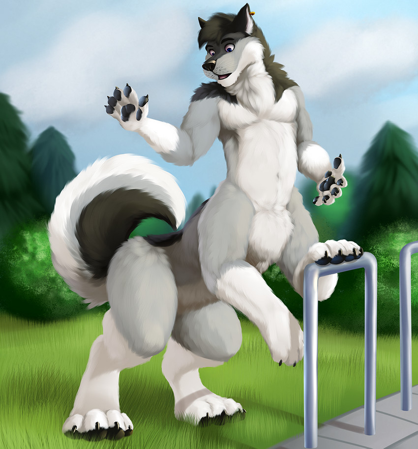 male park paws solo tail jonas-puppeh awkore canid canid_taur canine canine_taur canis mammal mammal_taur taur wolf wolf_taur hi_res