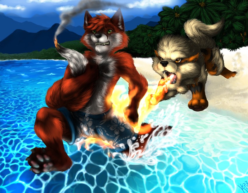 ambiguous_gender anthro beach breath_powers burning butt_on_fire clothing duo elemental_manipulation feral fire fire_breathing fire_manipulation fur male multicolored_body multicolored_fur orange_body orange_fur pain smoke swimming_trunks swimwear tail_on_fire tan_body tan_fur two_tone_body two_tone_fur white_body white_fur krazinik nintendo pokemon jasonwerefox arcanine canid canine fox generation_1_pokemon mammal pokemon_(species) red_fox true_fox digital_media_(artwork)