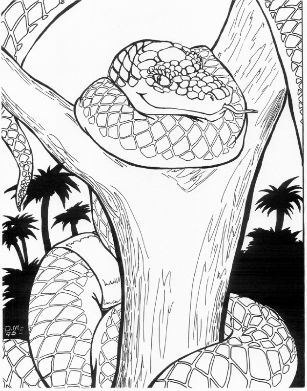 ambiguous_gender apode clothing coiling feral forest forked_tongue jungle legless long_tongue outside palm_tree plant pose serpentine solo tongue tongue_out topwear tree tube_top wood oscar_marcus boa_(snake) boa_constrictor boinae draconcopode emerald_tree_boa naga reptile scalie snake 1996 black_and_white monochrome pinup