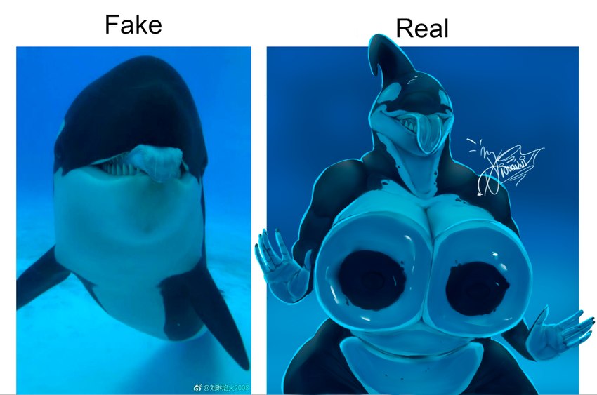 against_surface anthro belly belly_on_glass big_breasts breasts breasts_on_glass female fin hand_on_glass happy huge_breasts licking navel nipples non-mammal_breasts non-mammal_navel non-mammal_nipples on_glass pressing_breasts_together real simple_background size_difference slightly_chubby slightly_chubby_anthro slightly_chubby_female solo spots thick_thighs tongue tongue_out water wide_hips giovannilol19 freya_(giovannilol19) cetacean dolphin mammal marine oceanic_dolphin orca toothed_whale digital_drawing_(artwork) digital_media_(artwork) meme reference_image