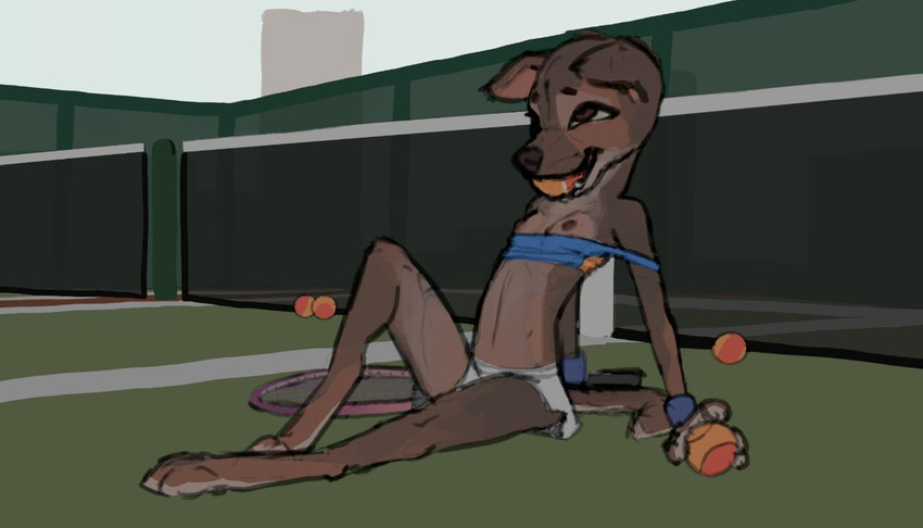 anthro ball bottomwear breasts clothed clothing detailed_background female looking_up miniskirt nipple_slip nipples sitting skinny skirt slim small_breasts solo tennis_ball tennis_ball_in_mouth tennis_court tennis_racket thin_calves thin_legs thin_thighs wardrobe_malfunction young young_anthro southnorth canid canine canis domestic_dog mammal