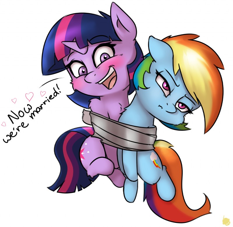 rainbow dash and twilight sparkle (friendship is magic and etc) created by pudgeruffian