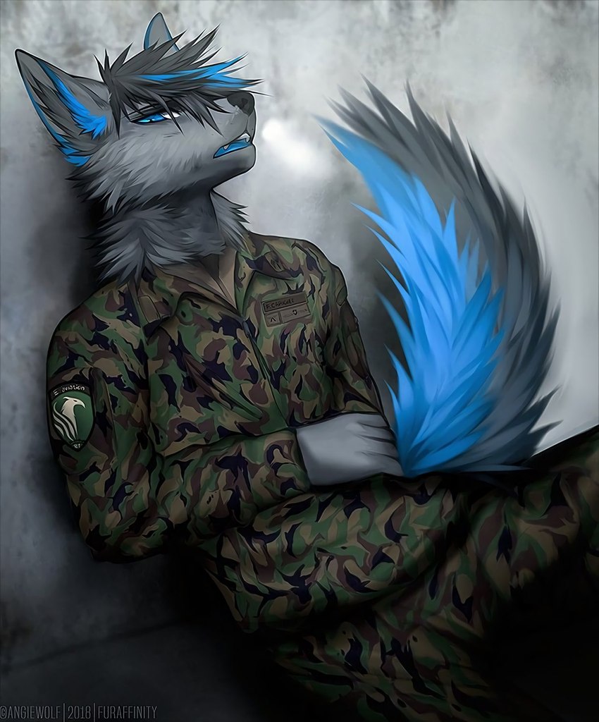 5_fingers anthro black_body black_fur blue_body blue_fur bottomwear clothing fingers fur hair male military military_uniform multicolored_hair open_mouth pants sitting solo uniform angiewolf furaffinity carijet mammal 2018 hi_res