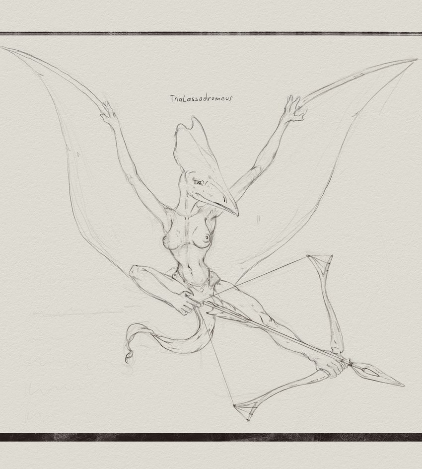 anthro archer arrow_(weapon) bottomwear bow_(weapon) breasts clothed clothing female flying foot_archery front_view hand_feet loincloth membrane_(anatomy) membranous_wings pose ranged_weapon solo text topless weapon wings upai thalassodromeus absurd_res black_and_white english_text full-length_portrait graphite_(artwork) handwritten_text hi_res letterbox line_art monochrome portrait sketch traditional_media_(artwork)