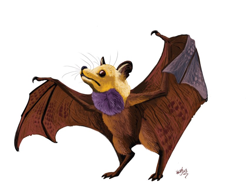 ambiguous_gender digitigrade feral fur purple_body purple_fur solo spread_wings wings yellow_body yellow_fur hodarinundu dryolestid mammal absurd_res hi_res