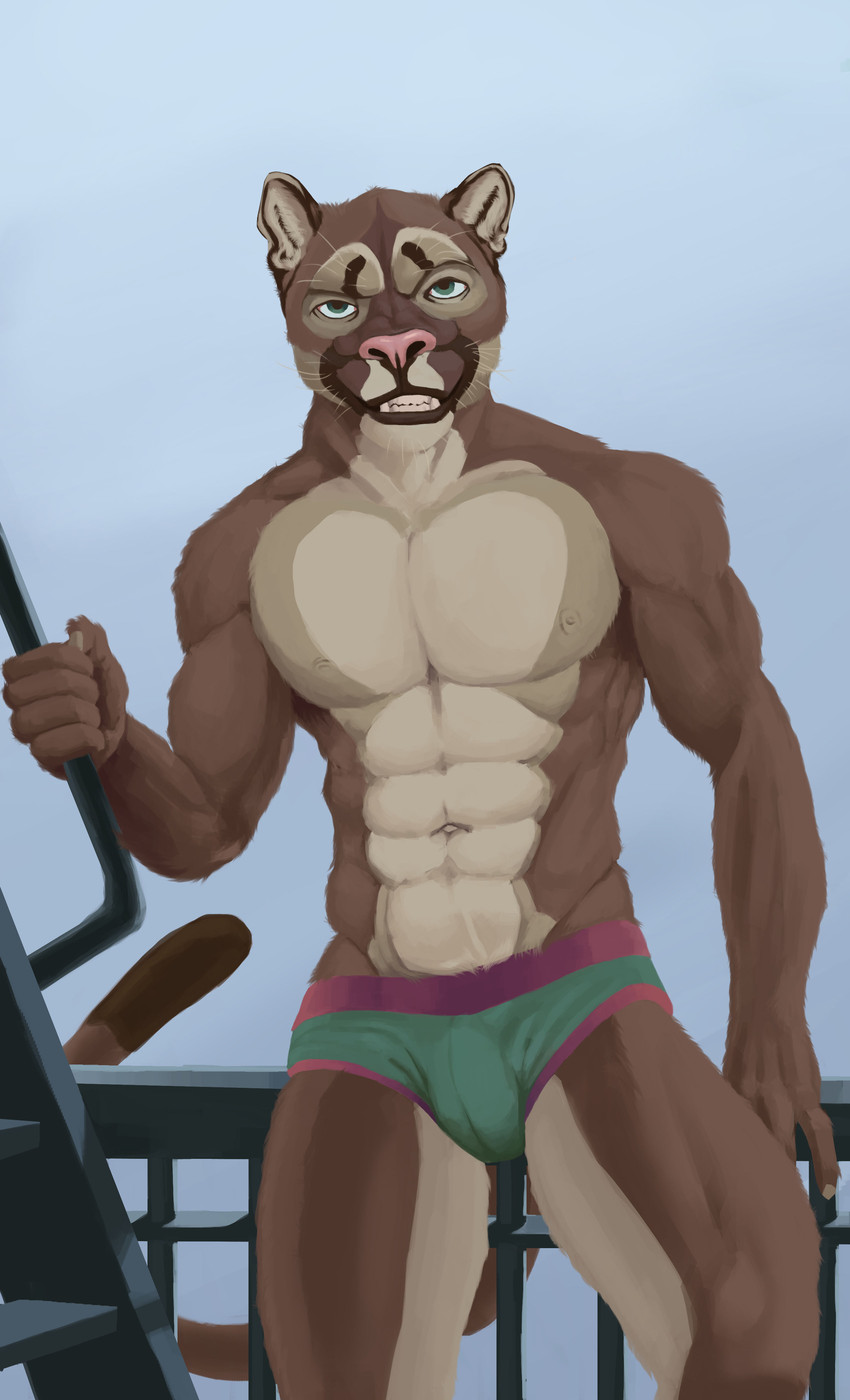 abs anthro balcony biceps bottomwear brown_body brown_eyes brown_fur bulge clothed clothing fire_escape fur looking_at_viewer male muscular muscular_anthro muscular_male outside skimpy solo standing momamo cougar felid feline mammal 2020 absurd_res hi_res