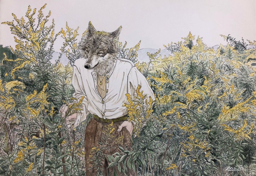 biped for_a_head fur grey_body grey_fur jewelry male male_humanoid necklace plant scenery shrub sky solo white_body white_dress_shirt white_fur white_sky moja12deer animal_head canid canine canis humanoid mammal wolf 2024 detailed hi_res