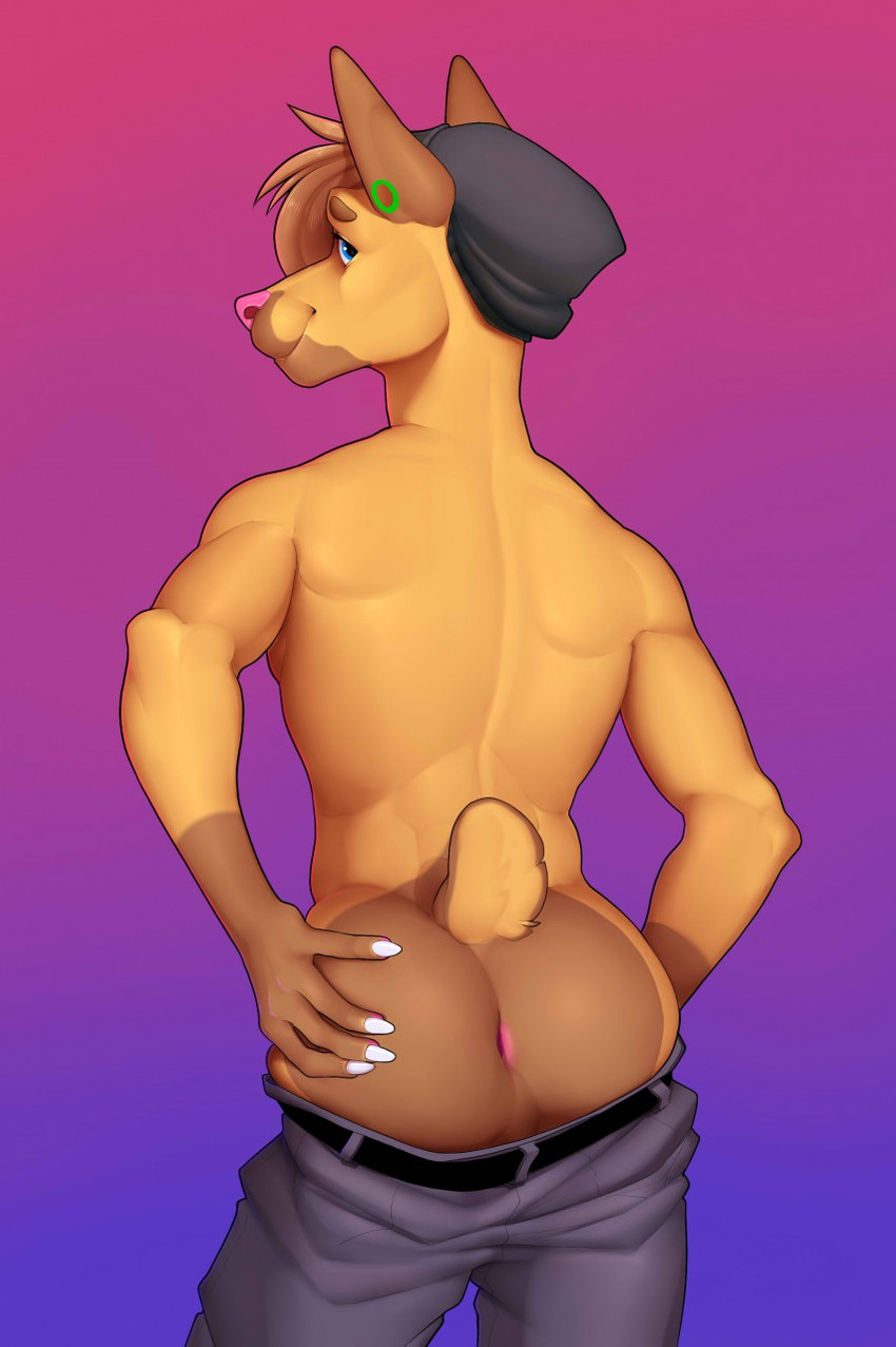 anthro beanie butt clothing ear_piercing flesh_tunnel gauged_ear hair hat headgear headwear looking_at_viewer male nub_tail piercing presenting presenting_hindquarters simple_background slim smile solo meheheehehe flick_(characters) flick_(slushie315) canid canine canis dobermann domestic_dog mammal pinscher hi_res