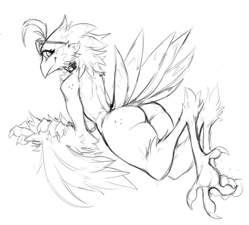 anthro beak butt claws feathers feet female looking_at_viewer looking_back looking_back_at_viewer lying nude on_front rear_view smile solo tail tail_feathers talons toes guoh lyra_(w4g4) avian bird digital_drawing_(artwork) digital_media_(artwork) monochrome sketch