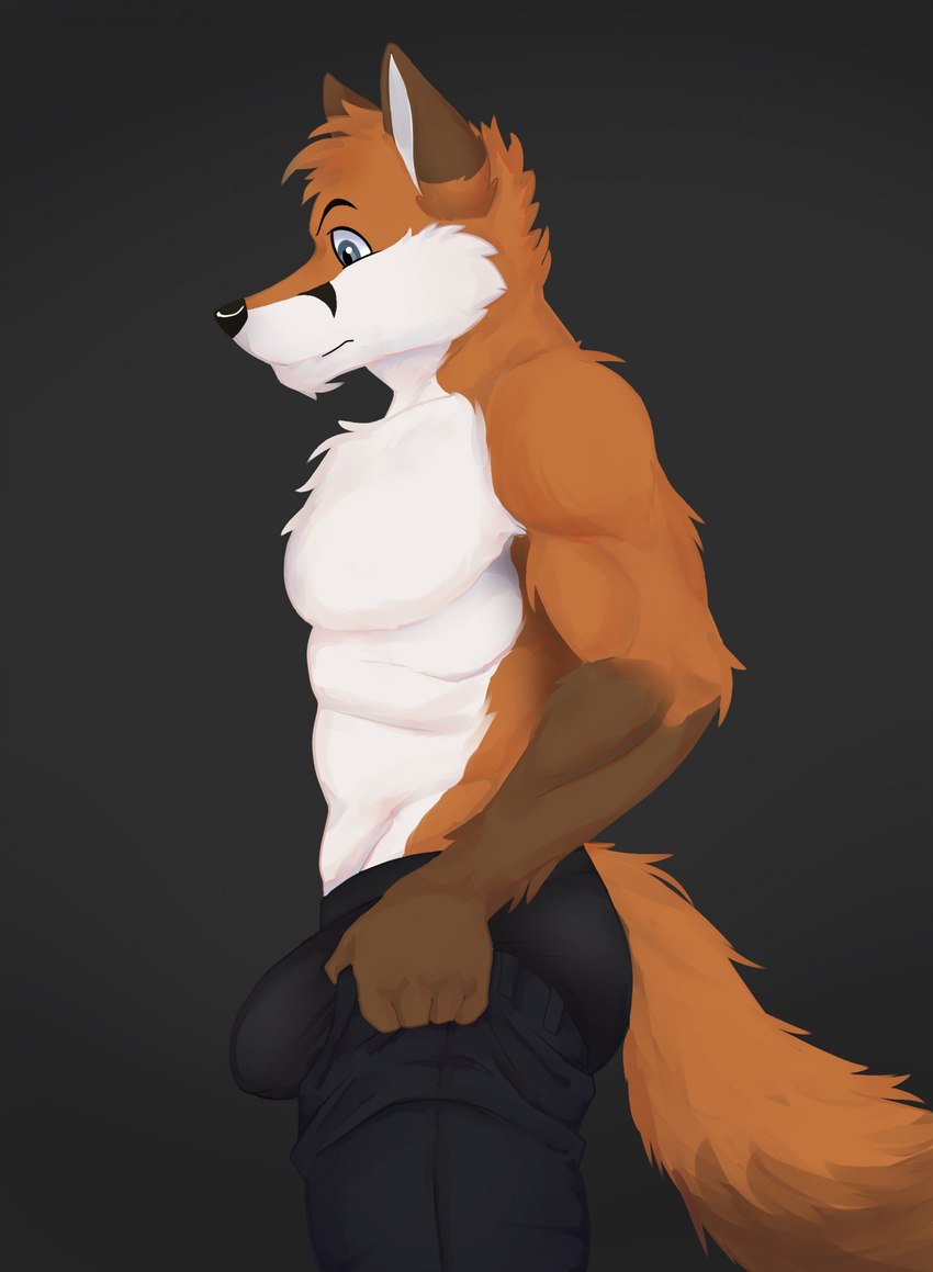 anthro blue_eyes bulge clothing fur male muscular muscular_male orange_body orange_fur pulling_up_pants solo underwear white_body white_fur juanatoq tight_pants_(meme) scott_(scottthefox94) canid canine fox mammal hi_res meme