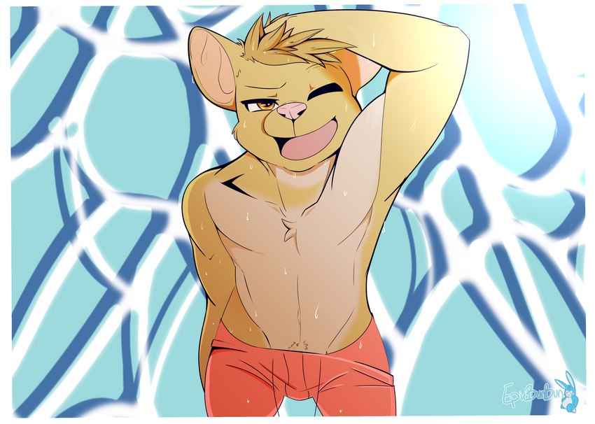 anthro beach clothing male outside pose seaside solo summer swimming_trunks swimwear water wet young epicbunbun mammal mouse murid murine rodent absurd_res hi_res pinup