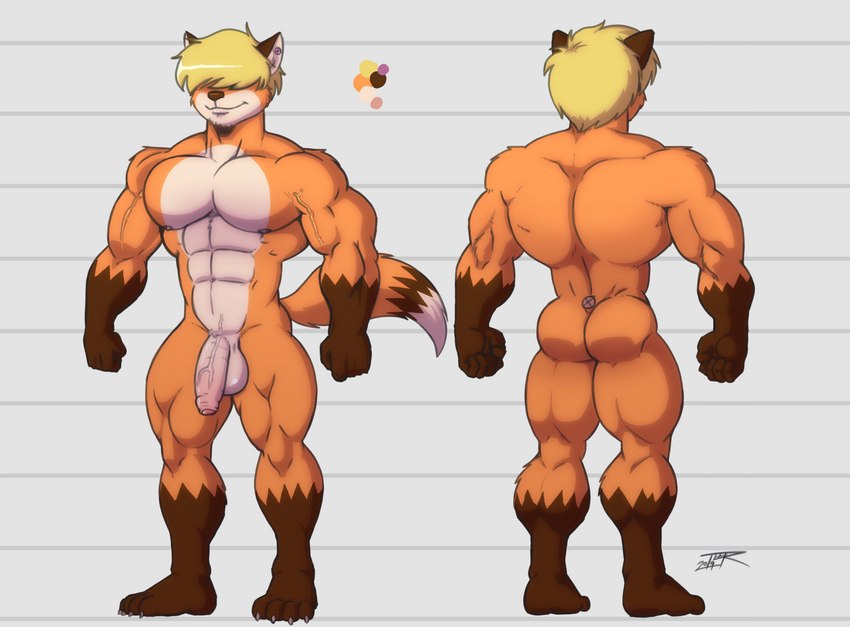 abs anthro balls big_penis blonde_hair butt flaccid foreskin fur genitals glans hair hair_over_eyes humanoid_genitalia humanoid_penis male muscular muscular_male nipples nude orange_body orange_fur partially_retracted_foreskin pecs penis pink_glans solo vein veiny_muscles veiny_penis teer kyle_driver canid canine fox mammal absurd_res hi_res model_sheet