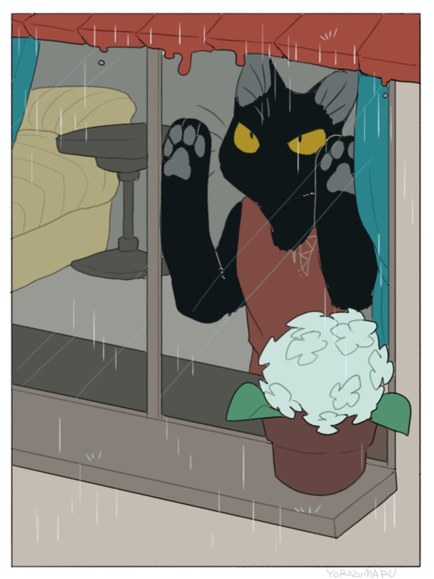 ambiguous_gender black_body flower pawpads plant plant_pot raining solo whiskers window yellow_eyes yorozumaru urushi_(yorozumaru) domestic_cat felid feline felis mammal 2021 hi_res