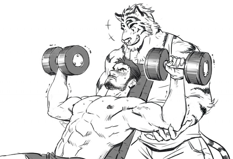 abs anthro beard biceps bottomwear clothed clothing dumbbell duo exercise facial_hair fur hair male muscular muscular_male nipples pecs shirt shorts simple_background stripes tank_top topless topwear weightlifting weights workout nick300 felid human mammal pantherine tiger 2018 sketch