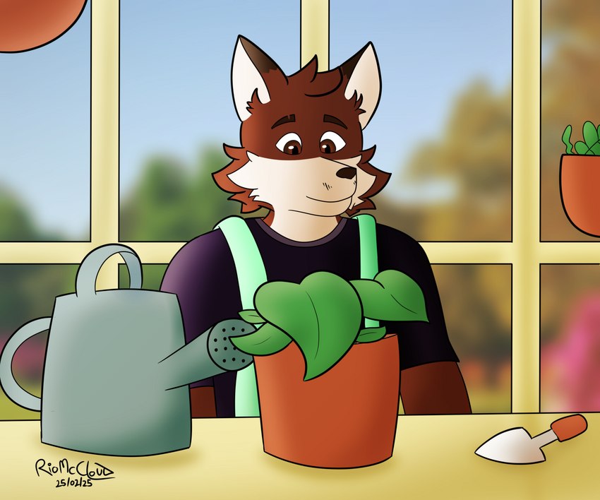 anthro blue_clothing blue_shirt blue_topwear brown_eyes clothing furniture garden gardening glass green_clothing green_overalls looking_down male morning overalls photo_background plant plant_pot shirt smile solo spatula table tools topwear watering_can conditional_dnp rio_mccloud gabe_(cosmic_leaf) canid canine fox mammal 6:5 digital_drawing_(artwork) digital_media_(artwork) hi_res photography_(artwork) signature