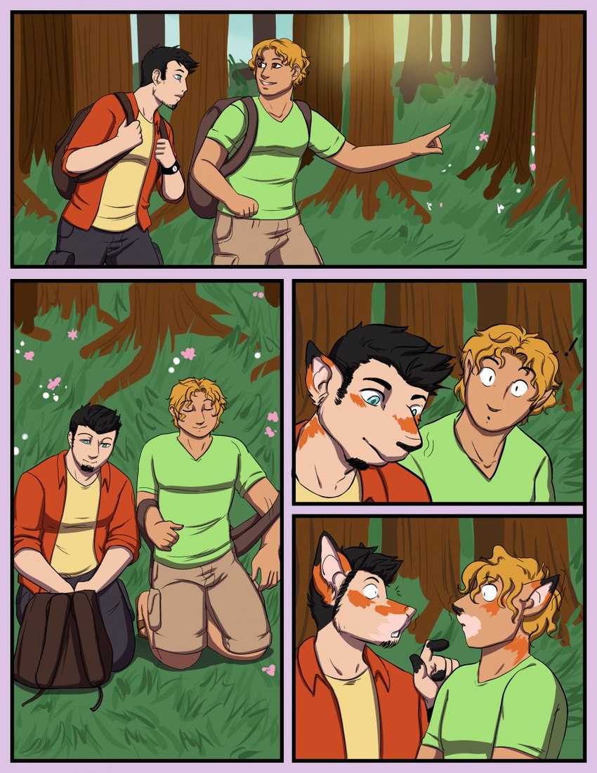 anthro backpack border clothed clothing duo exclamation_point forced forced_transformation forest fur fur_growth growth male mid_transformation plant purple_border species_transformation transformation tree rileyomalley canid canine fox human mammal colored comic hi_res