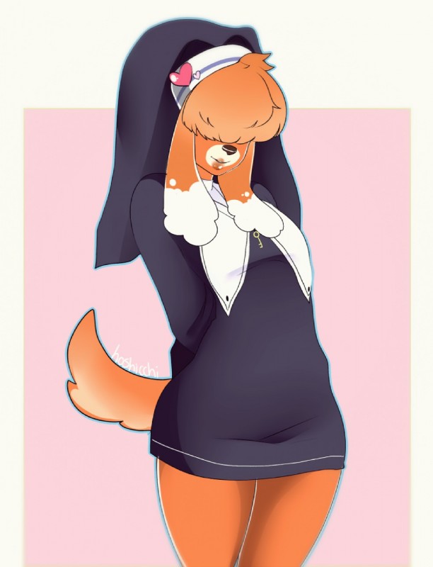 anthro clothed clothing crossdressing femboy nun solo hoshicchi maly_paczek canid canine canis domestic_dog mammal digital_media_(artwork) hi_res shaded