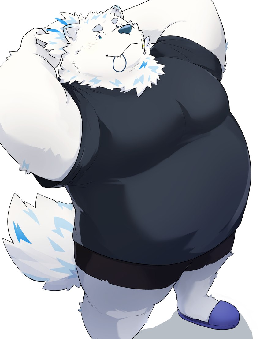 anthro belly bottomwear clothing eyebrows footwear fur male overweight shirt shoes shorts slippers solo t-shirt thick_eyebrows topknot topwear tying_hair underwear white_body white_fur noctnoc lifewonders live_a_hero yohack canid canine canis domestic_dog mammal nordic_sled_dog samoyed spitz absurd_res hi_res