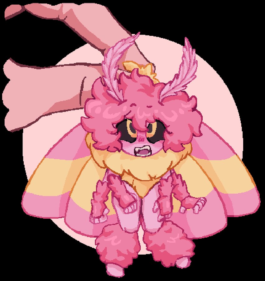 4_arms 4_fingers afro after_transformation alternate_species antennae_(anatomy) anthro biped black_sclera blush eyebrows female fingers fist giant_hand hair insect_wings multi_arm multi_limb open_mouth pink_body pink_hair pink_skin pink_wings raised_eyebrow sharp_teeth simple_background size_difference solo species_transformation teeth transformation transparent_background wings yellow_eyes pixel-chan-doodles my_hero_academia ashido_mina arthropod insect lepidopteran moth rosy_maple_moth 2024 alpha_channel digital_media_(artwork) pixel_(artwork)