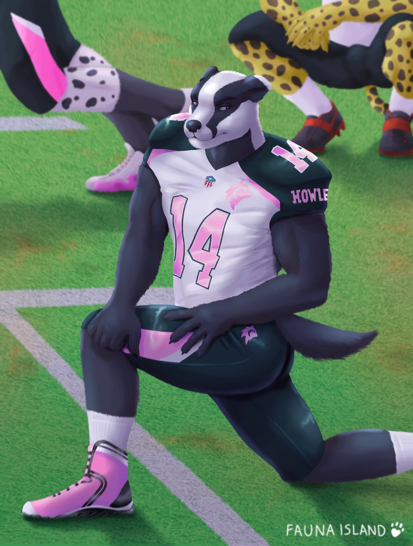 american_football anthro clothing exercise footwear jock male muscular shoes sneakers solo sport uniform fauna_island badger felid leopard mammal mustelid musteline pantherine team_(disambiguation) absurd_res hi_res