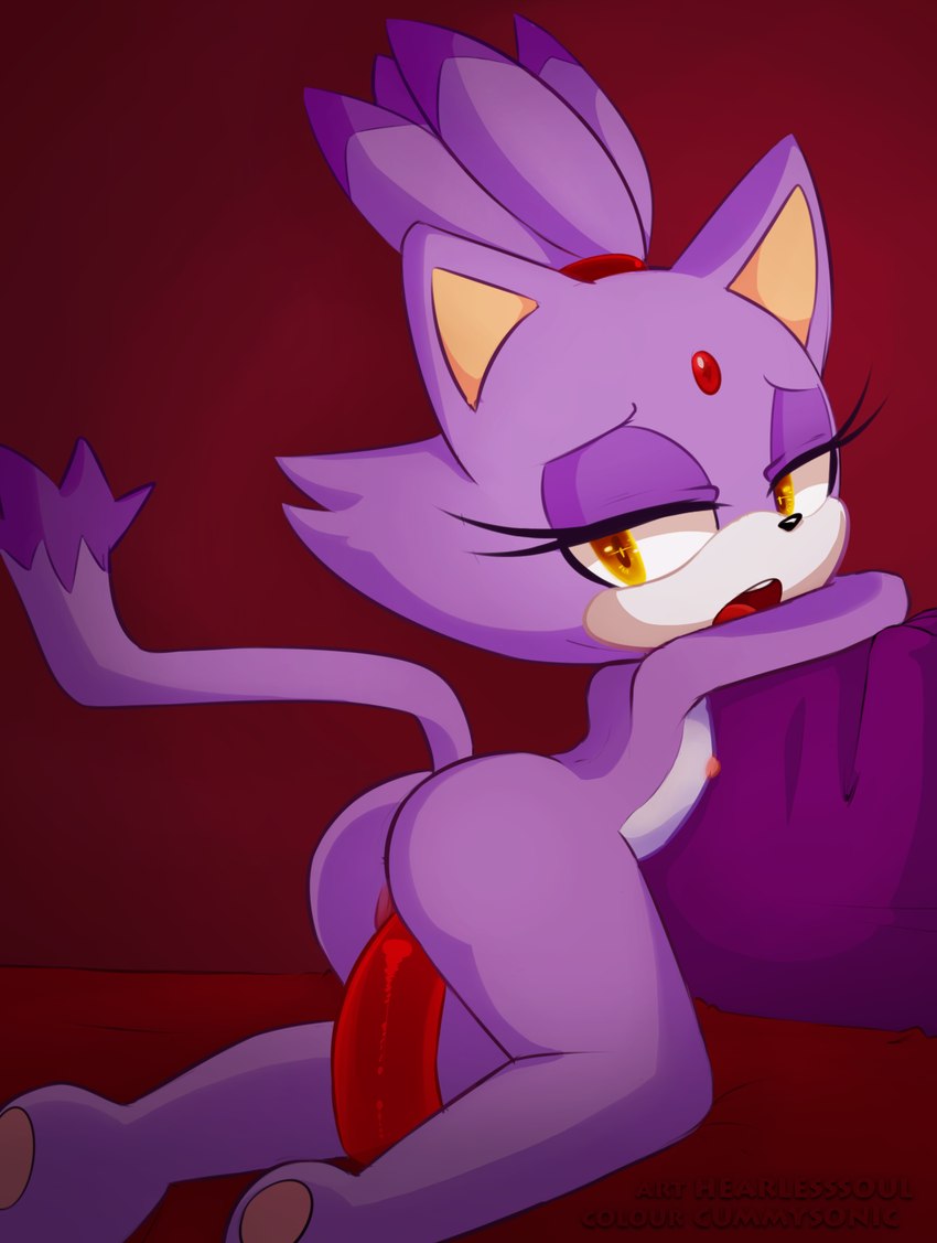 blaze the cat (sonic the hedgehog (series) and etc) created by cummysonic and tenshigarden