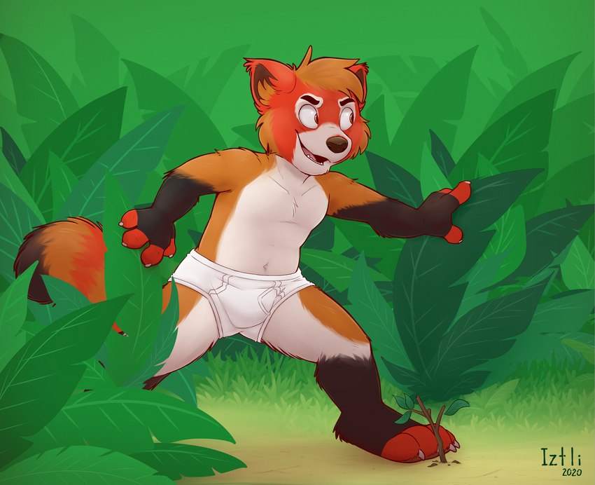 anthro clothed clothing male open_mouth outside simple_background solo topless topless_male underwear young young_anthro young_male iztli ailurid mammal red_panda 2022 hi_res signature