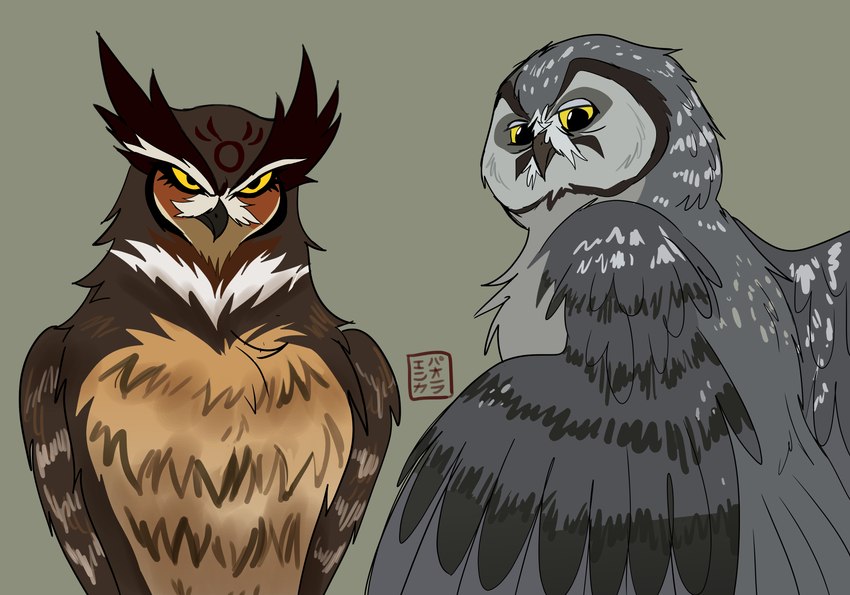 brown_body brown_feathers duo feathers female feral grey_body grey_feathers male simple_background yellow_eyes kabuki-aku guardians_of_ga'hoole grimble_(gogh) skench_(gogh) aegolius avian bird boreal_owl great_horned_owl horned_owl owl true_owl absurd_res hi_res