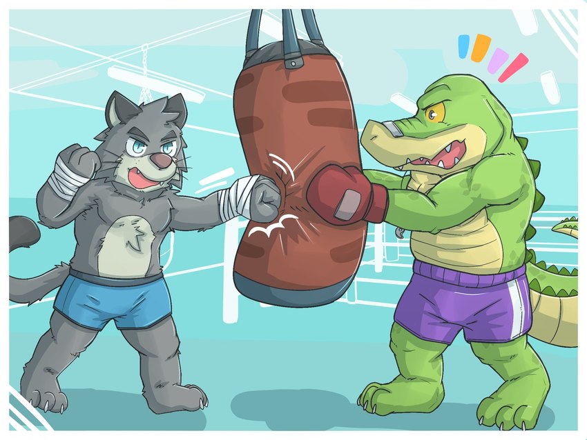 anthro biped bottomwear boxing_gloves boxing_shorts bulge clothing duo green_body grey_body handwear male punch punching_bag shorts plasticer1 brok_the_investigator cowcat_games brok_(brok_the_investigator) graff_filsh alligator alligatorid crocodilian domestic_cat felid feline felis mammal reptile scalie 2024 4:3 hi_res