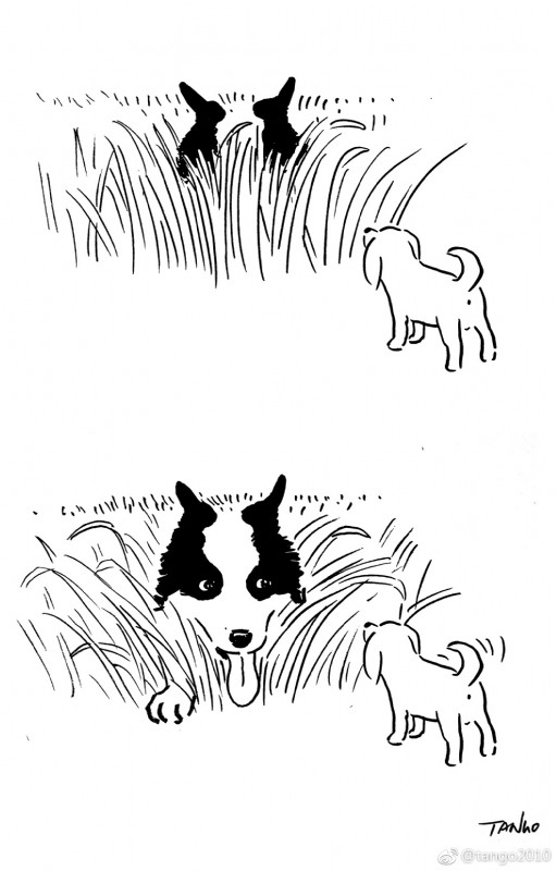 anus duo_focus feral grass group hiding humor optical_illusion plant raised_tail reveal tail tail_motion tailwag tongue tongue_out tango_gao border_collie canid canine canis collie domestic_dog herding_dog lagomorph leporid mammal pastoral_dog rabbit sheepdog black_and_white digital_drawing_(artwork) digital_media_(artwork) hi_res line_art monochrome sequence