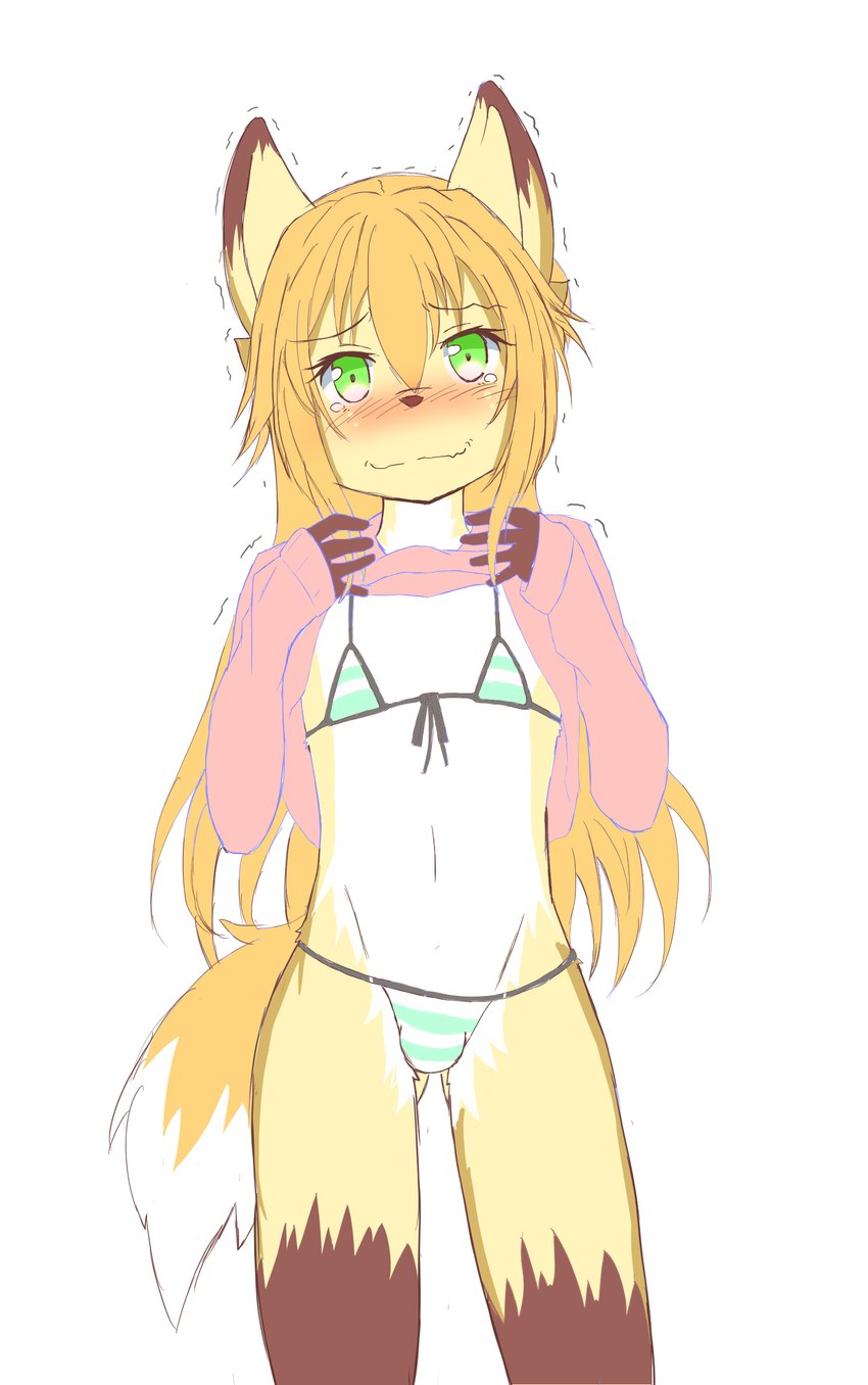 anthro blush bodily_fluids brown_body brown_fur brown_hair brown_nose bulge clothed clothing crossdressing femboy fur green_eyes hair looking_at_viewer male simple_background solo standing tears white_background white_body white_fur young an_chobi94 remu-kun canid canine fox mammal 2018 absurd_res hi_res