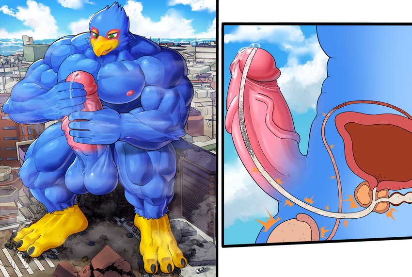 abs ambiguous_gender anthro balls beak biceps big_muscles blue_body blue_feathers blush bodily_fluids building city cock_vore cross_section cum erection feathers genital_fluids genitals group huge_muscles humanoid_genitalia humanoid_penis inside_penis internal macro male male/ambiguous male_focus masturbation multiple_prey muscular muscular_male penile penis precum prostate prostate_stimulation sitting sitting_on_building urethra vore mayar nintendo star_fox falco_lombardi avian bird absurd_res digital_media_(artwork) hi_res