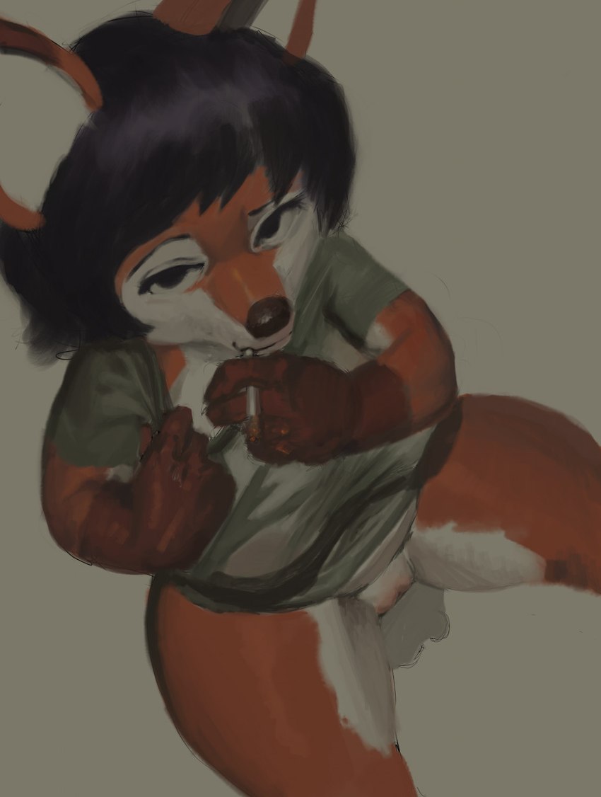 anthro black_hair bottomwear cigarette clothing female genitals gloves_(marking) hair looking_at_viewer looking_up markings pussy short_hair simple_background sitting smoking solo spread_legs spreading tenacitrus canid canine fox mammal hi_res