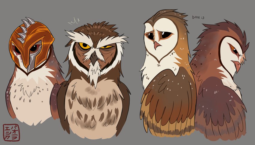 ezylryb, kludd, metal beak, and soren (guardians of ga'hoole) created by kabuki-aku