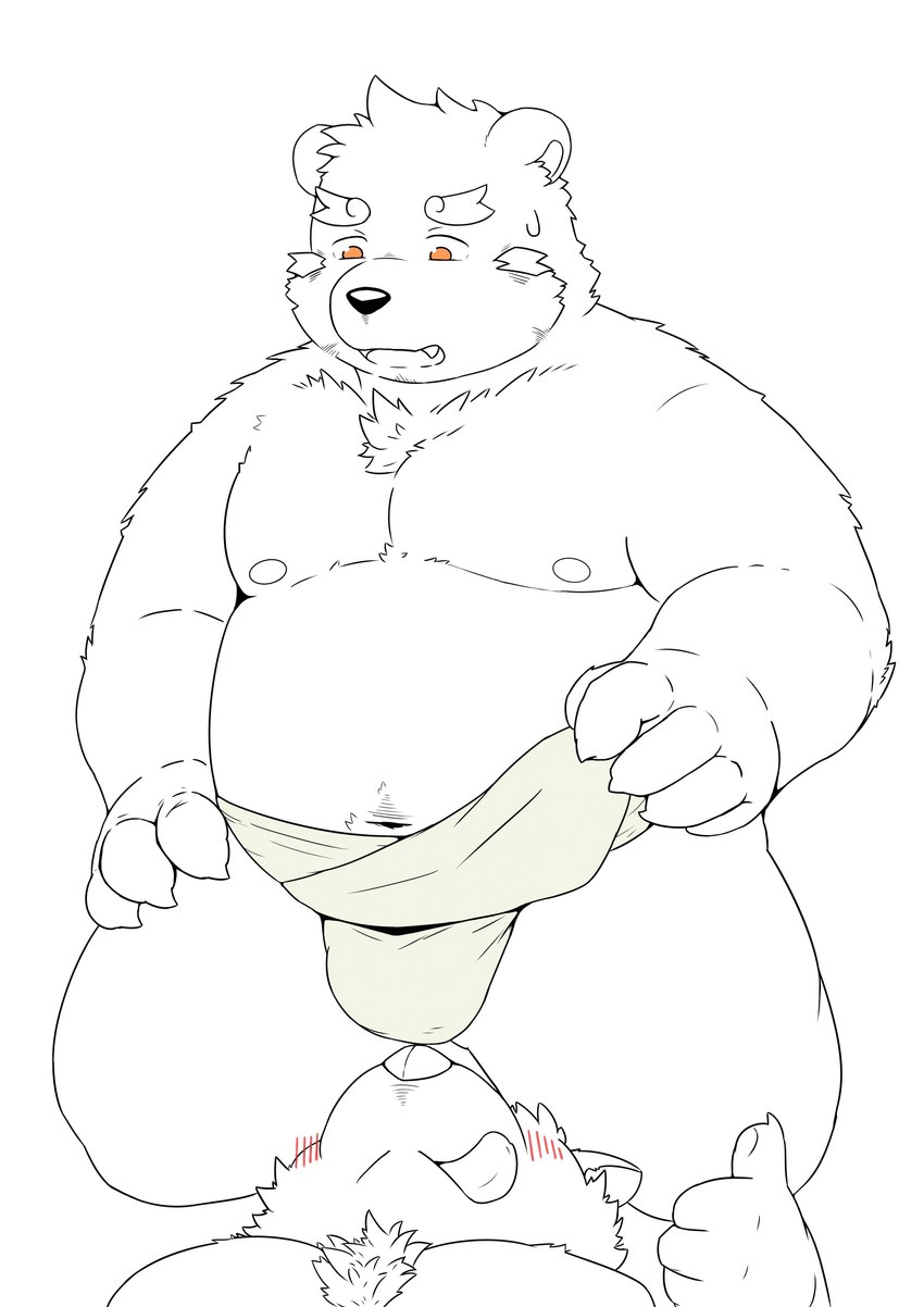 anthro asian_clothing belly blush bodily_fluids clothing cute_fangs duo east_asian_clothing fangs fundoshi humanoid_hands japanese_clothing kemono lying male moobs navel nipples overweight overweight_male simple_background sweat teeth underwear white_background buruukoori bear mammal 2021 absurd_res hi_res