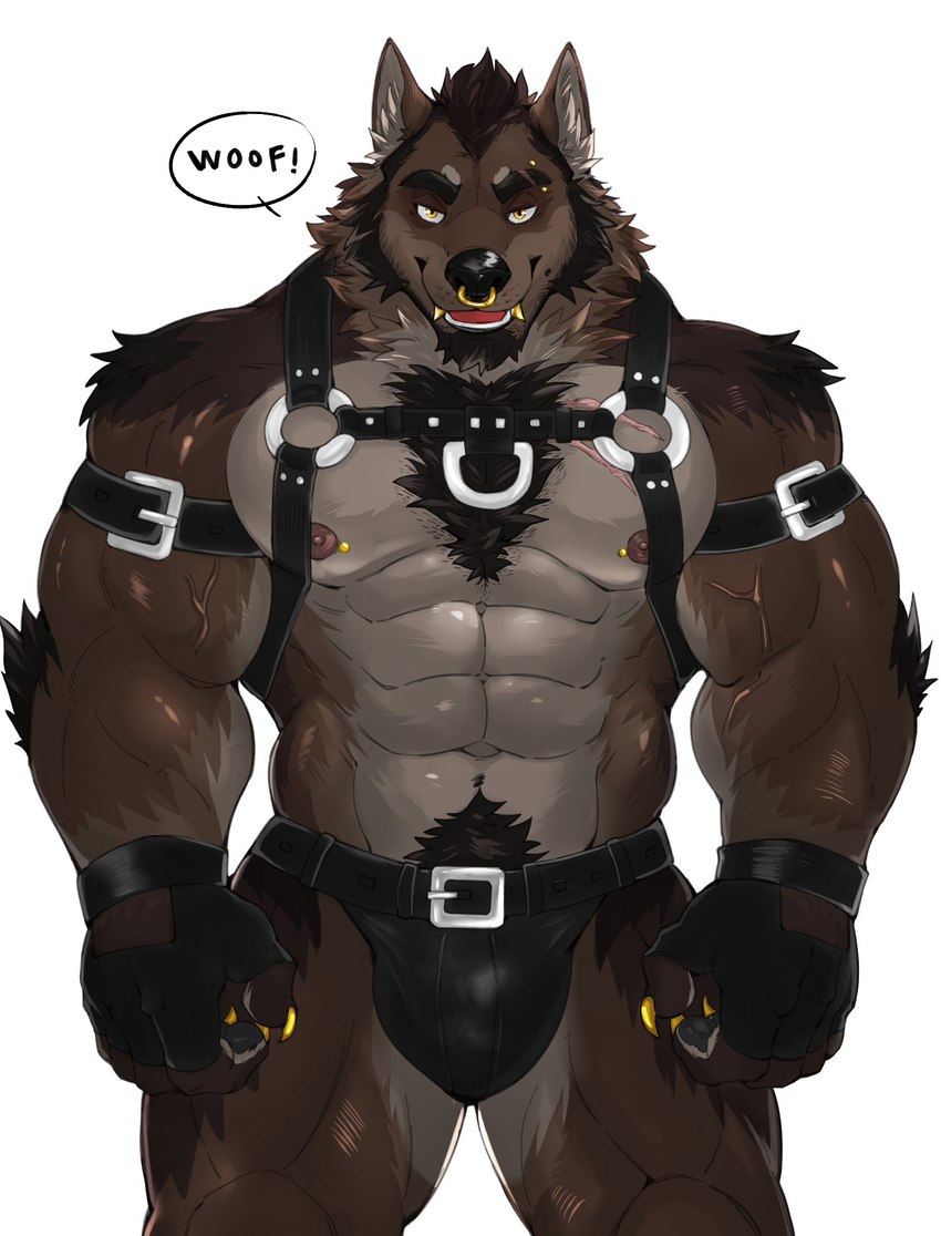 abs anthro arm_tuft armband barbell_piercing beard belt biceps black_clothing black_jockstrap black_underwear brown_body brown_fur brown_hair bulge chest_tuft claws clothing deltoids dialogue elbow_tuft eyebrow_piercing eyebrow_stud facial_hair facial_piercing finger_claws fingerless_gloves fur gloves gold_(metal) gold_claws gold_tooth hair handwear harness jockstrap leather leather_clothing leather_underwear looking_at_viewer male muscular muscular_anthro muscular_male muscular_thighs navel nipple_barbell nipple_piercing nipple_stud nipples nose_piercing nose_ring pecs piercing pubes ring_piercing septum_piercing septum_ring simple_background solo speech_bubble tuft underwear vein veiny_muscles white_background woof_(sound_effect) yellow_eyes meocondainhan corrin_(corrin619) canid canine canis mammal wolf 2023 hi_res