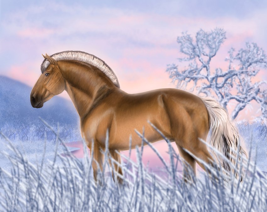 amber_eyes anatomically_correct animal_genitalia barely_visible_genitalia feral genitals ice male sheath snow solo winter ladykallisto arvakr draft_horse equid equine fjord_horse horse mammal