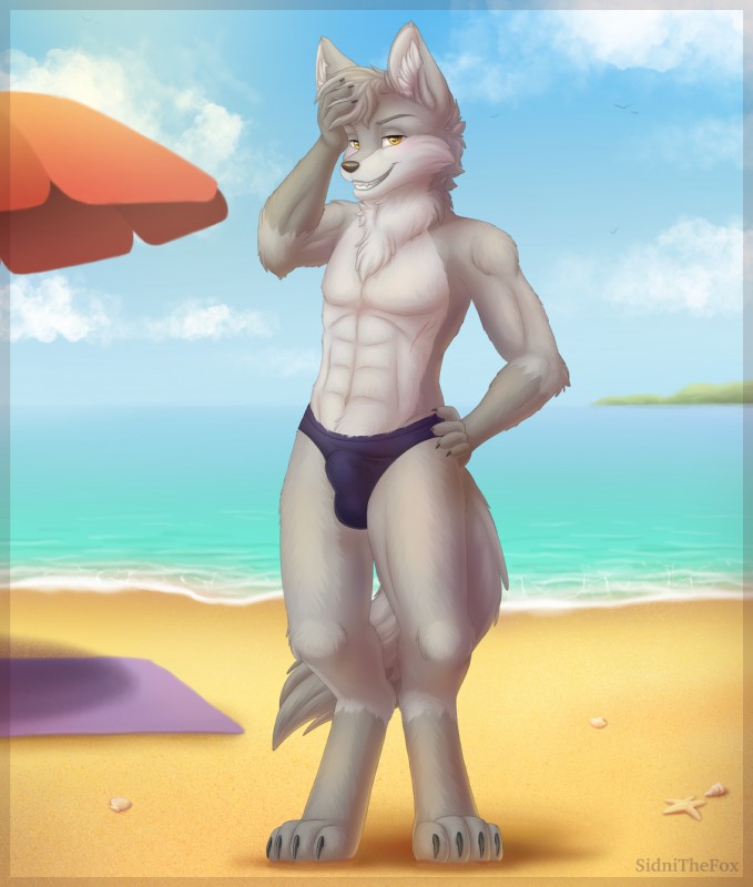 abs anthro beach bedroom_eyes biceps black_clothing black_swimwear blush bulge clothed clothing countershade_torso countershading detailed_fur digitigrade fur grey_body grey_fur hair half-closed_eyes looking_at_viewer male muscular muscular_anthro muscular_male narrowed_eyes outside pose sea seaside seductive smile solo swimwear topless underwear water sidnithefox caydo canid canine canis mammal wolf 2019 absurd_res detailed digital_media_(artwork) hi_res pinup smaller_version_at_source