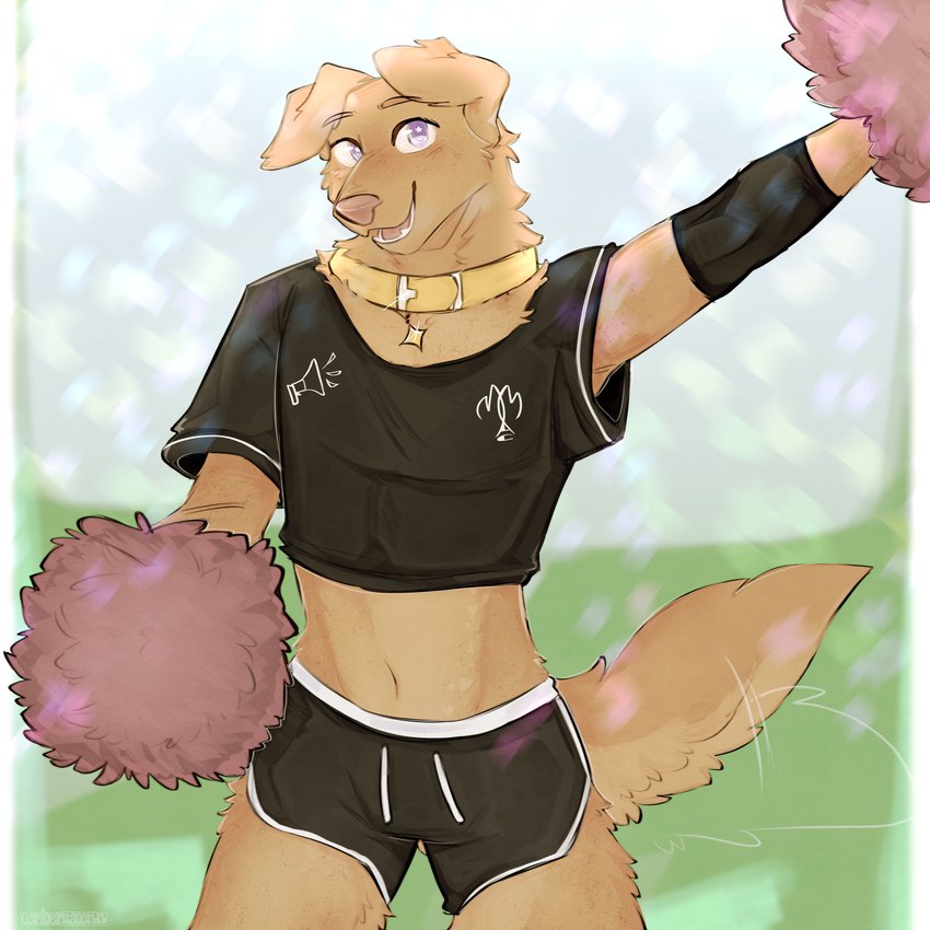 anthro bottomwear bright_eyes brown_body brown_fur cheerleader cheerleader_outfit clothing collar confetti crop_top dolphin_shorts elbow_pads freckles fur happy male midriff open_mouth pink_nose pom_poms purple_eyes shirt shorts smile solo star_eyes tail tail_motion tailwag topwear cerberussenn lumine_canosa_(cerberussenn) bird_dog canid canine canis domestic_dog hunting_dog labrador mammal retriever 1:1 absurd_res hi_res signature