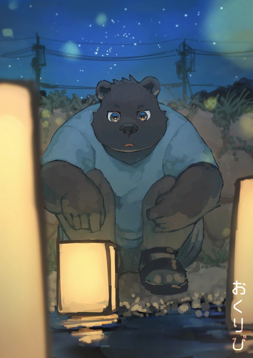 anthro black_body black_nose bottomwear clothing detailed_background footwear humanoid_hands kemono male night outside sandals shirt shoes shorts sitting slightly_chubby solo star topwear 7gaku_7 bear mammal 2022 hi_res